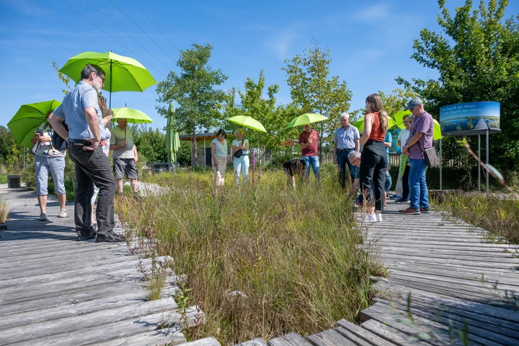 Gruppe bei Führung durch den Themenpark.